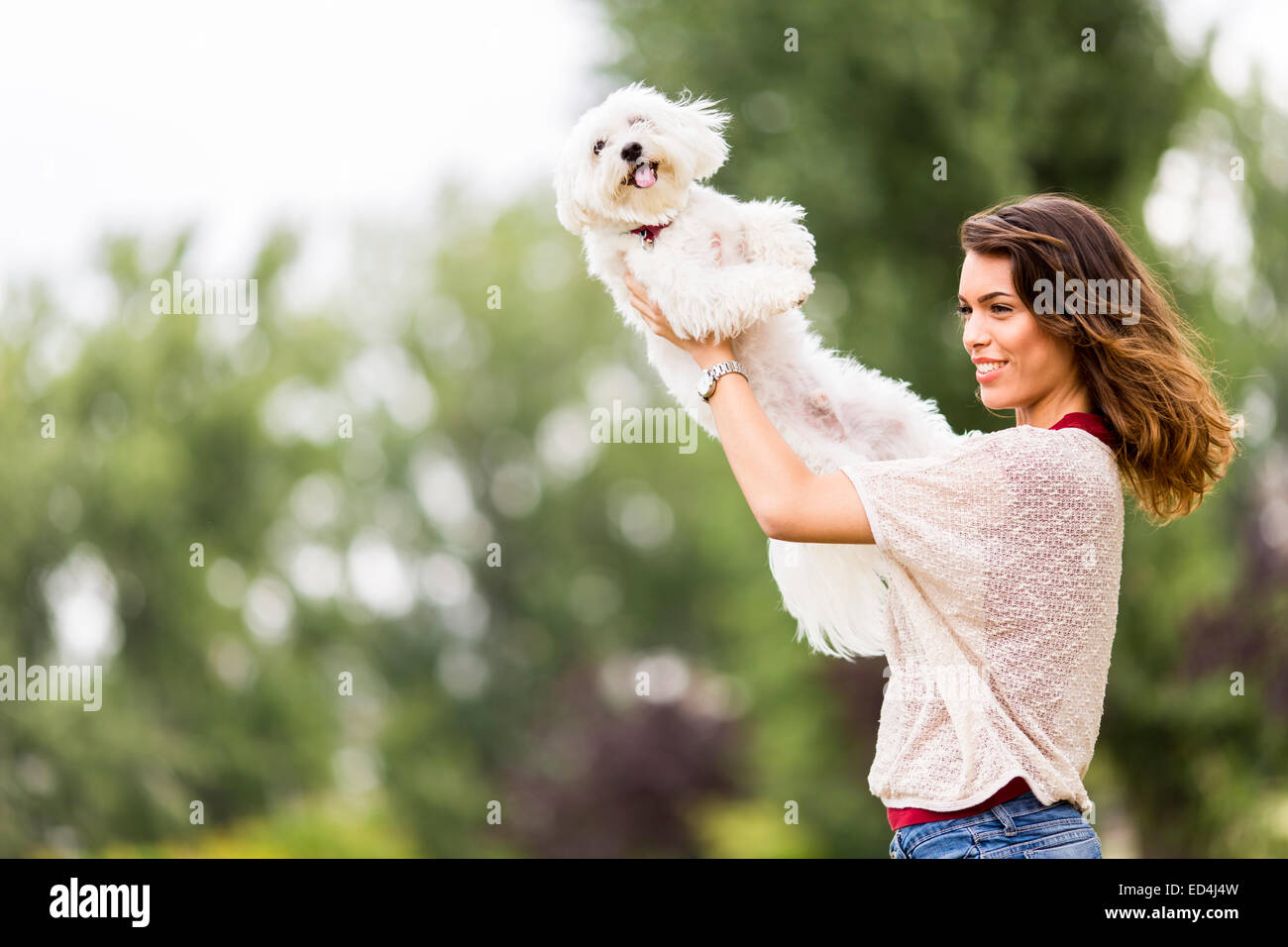 Jeune femme avec un chien maltais Banque D'Images