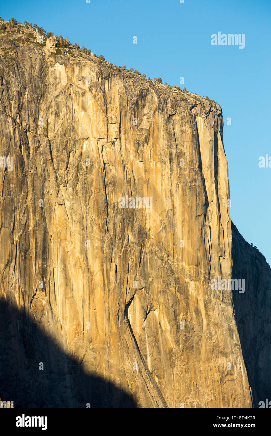 El Capitan, la plus célèbre des big wall dans la vallée de Yosemite, California, USA. Banque D'Images