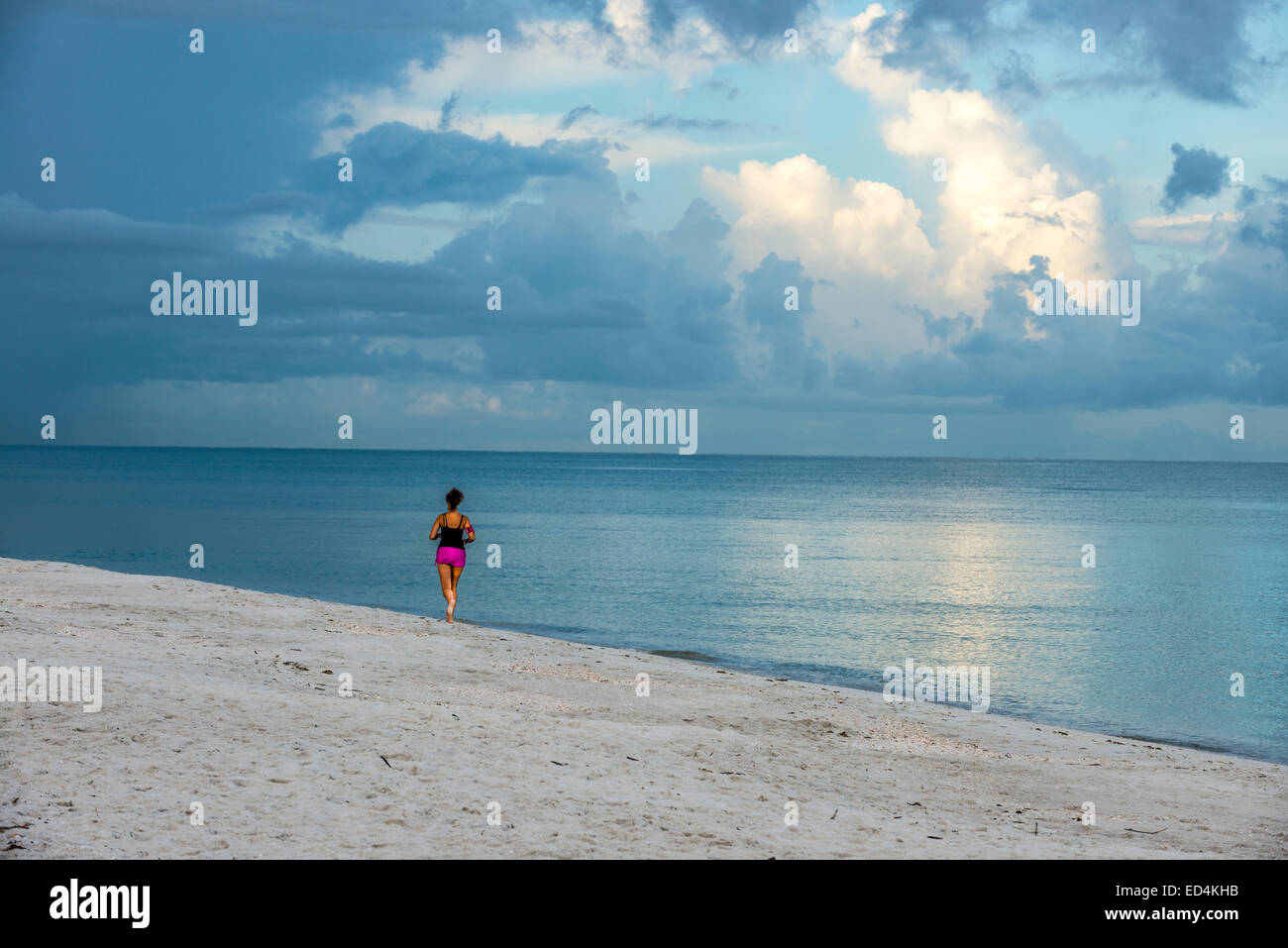 Woman running on beach,naples,Floride,usa Banque D'Images