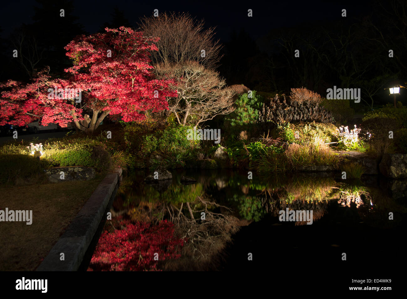 Eikan-do Zenrin-ji courts de feuillage de l'automne, Kyoto, Japon. Banque D'Images