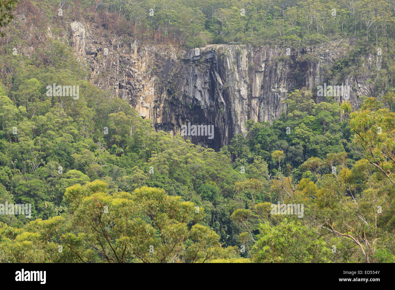 Une photographie de Minyon Falls près de Byron Bay en Australie. La cascade est une attraction touristique populaire. Banque D'Images Une photographie de Minyon Falls près de Byron Bay en Australie. La cascade est une attraction touristique populaire. Banque D'Images