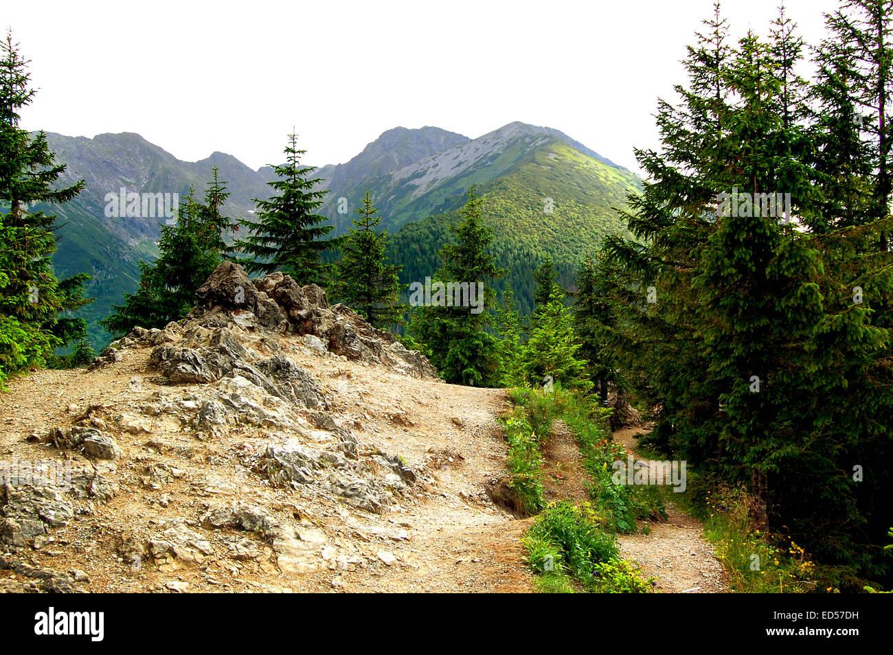 Sentier rocheux sur une montagne hill Banque D'Images