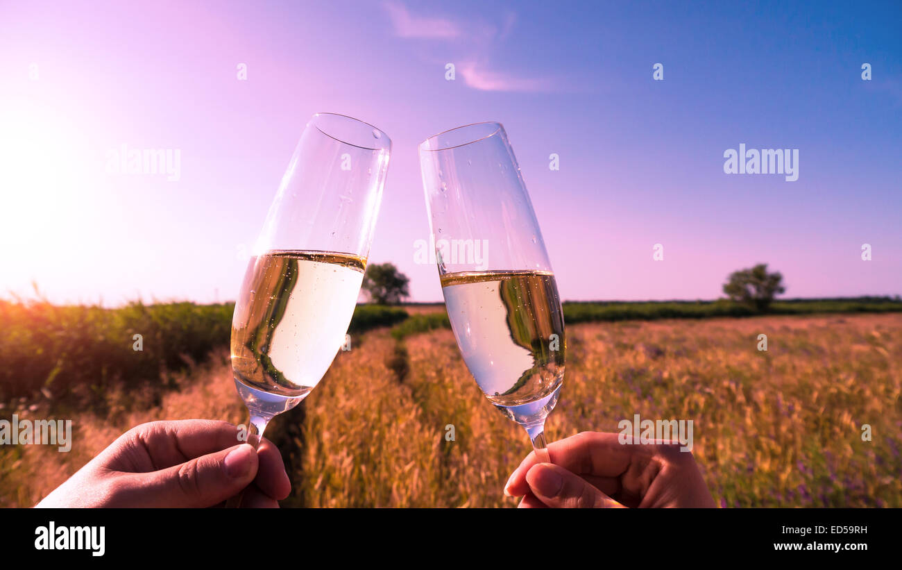 Porter un toast à la nature dans la soirée Banque D'Images