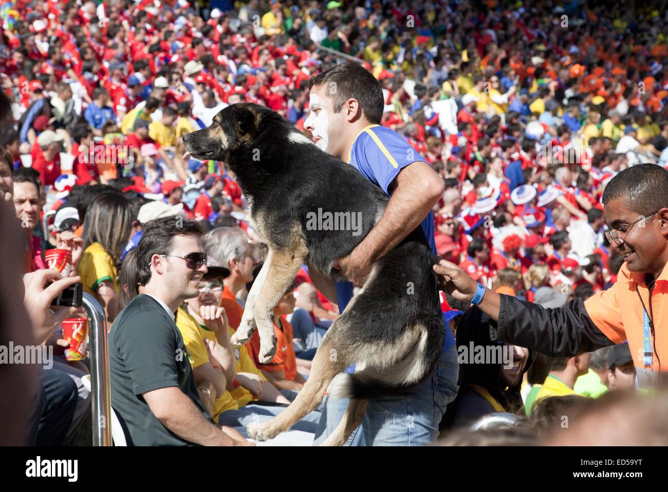 Coupe du Monde FIFA 2014 - Atmosphère - Jour 12 Un ventilateur, accompagné d'un intendant, supprime un chien du stade pendant le Groupe B match entre les Pays-Bas et le Chili où : Sao Paulo, Brésil Quand : 23 Juin 2014 Banque D'Images
