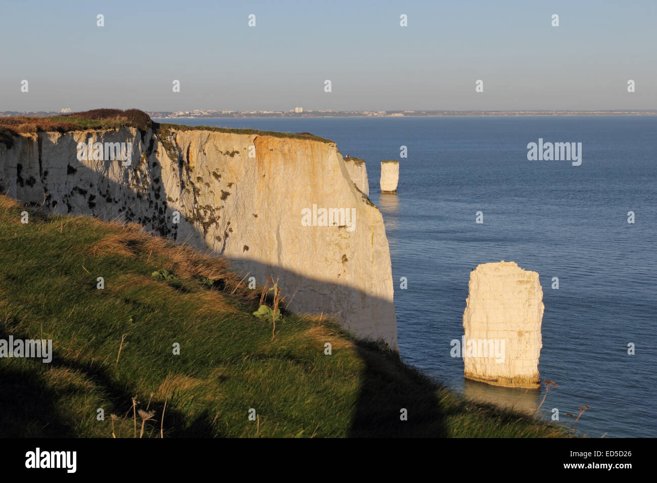 Le gisement Old Harry Rocks, formations de craie à Handfast Point, sur l'île de Purbeck dans Dorset sur la côte jurassique un site de l'UNESCO. Banque D'Images