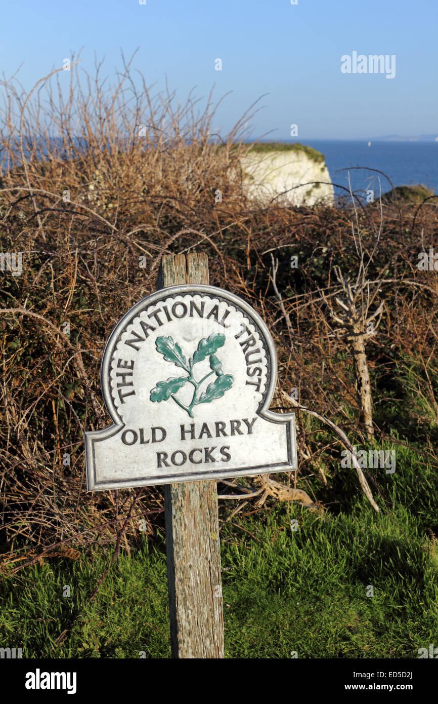 Le gisement Old Harry Rocks, formations de craie à Handfast Point, sur l'île de Purbeck dans Dorset sur la côte jurassique un site de l'UNESCO. Banque D'Images