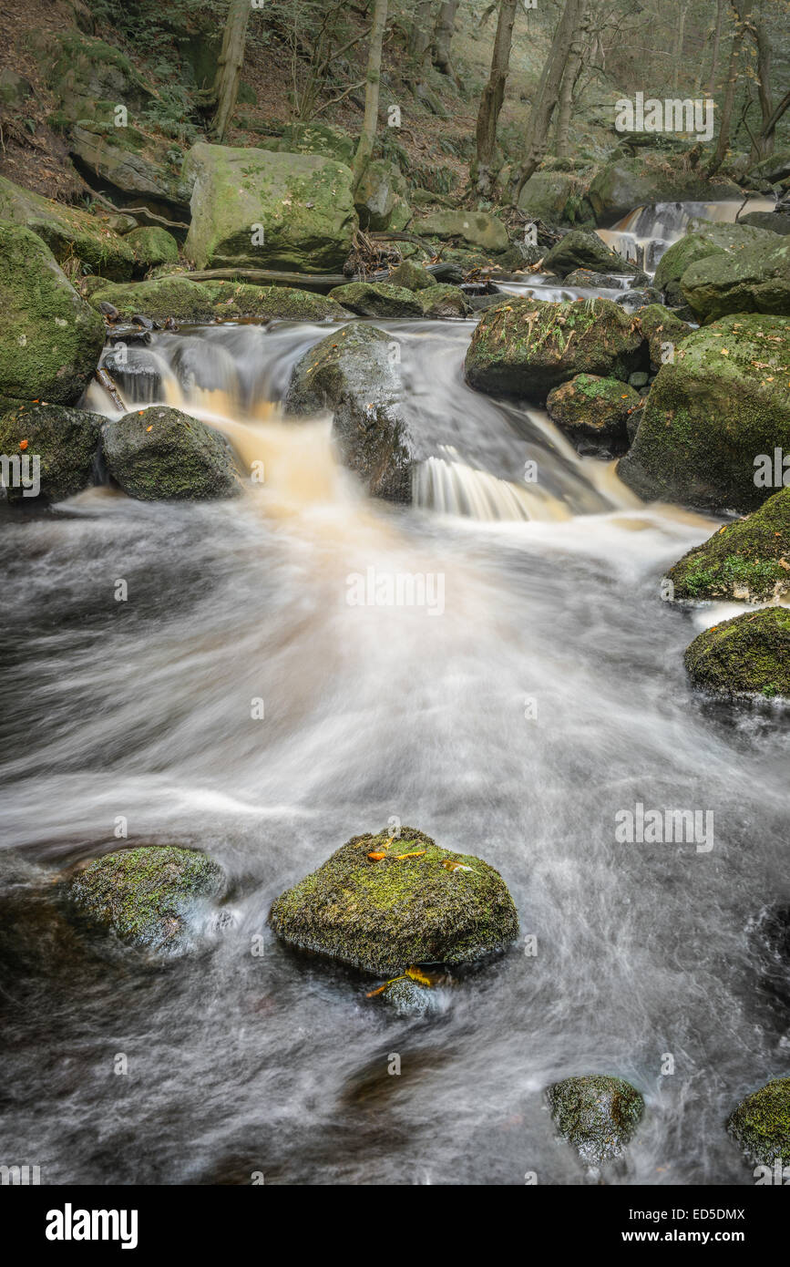 Gorge Padley flux forestiers Banque D'Images