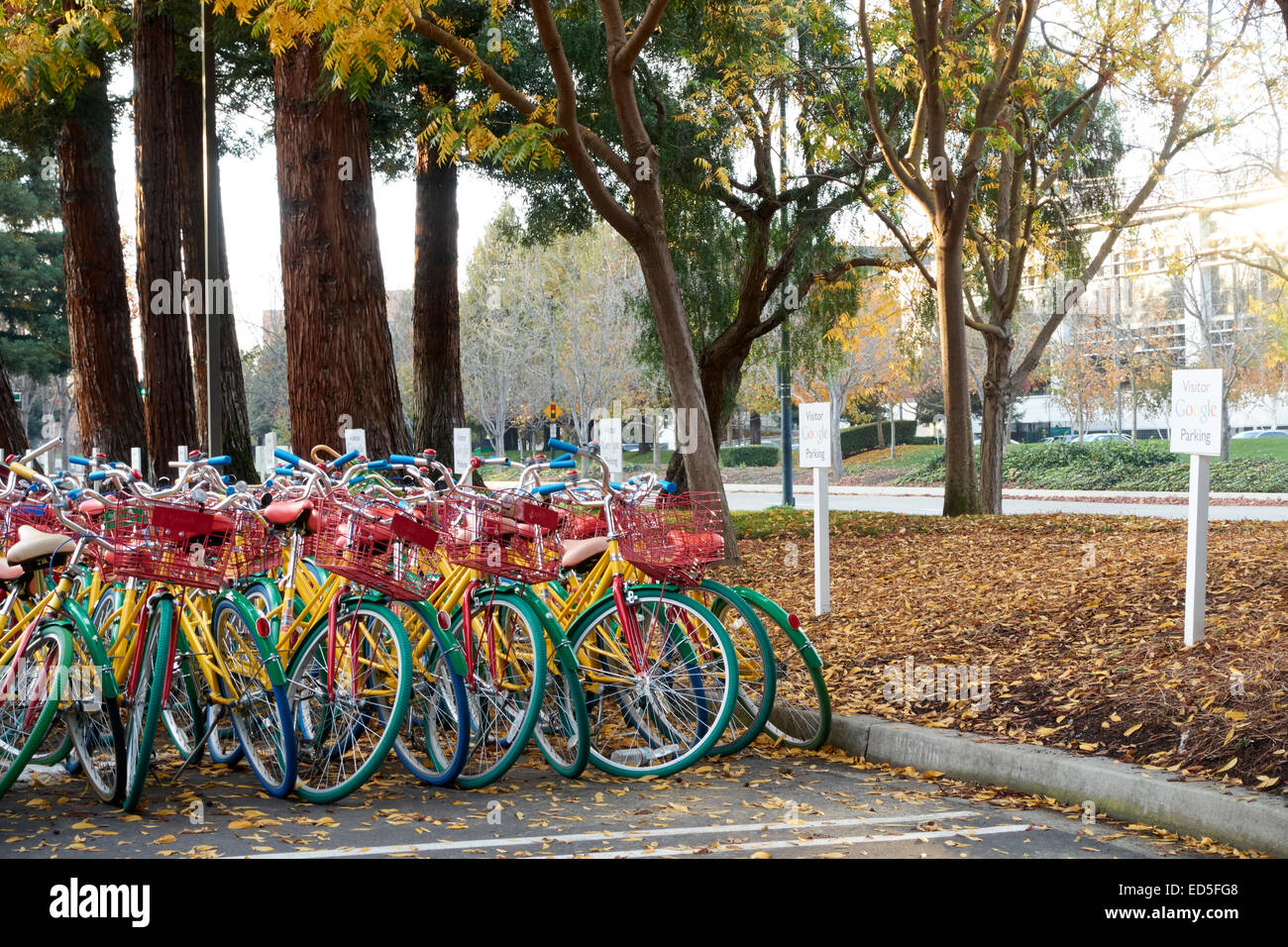 Google's nouveau campus vélos dans le parking de l'immeuble 44 Google,  Mountain View, California, USA Photo Stock - Alamy