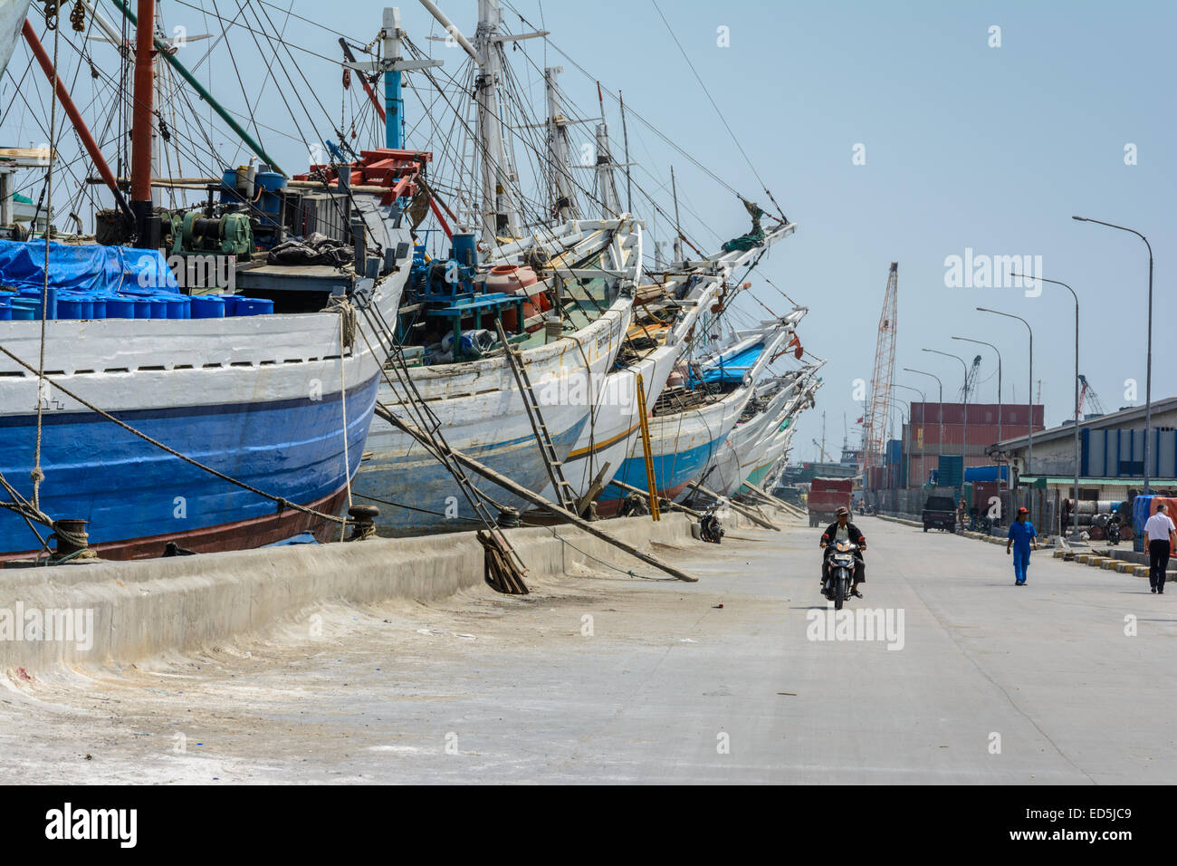 Pinsi des navires dans le vieux port de Sunda Kelapa, au nord de Jakarta, Indonésie Banque D'Images