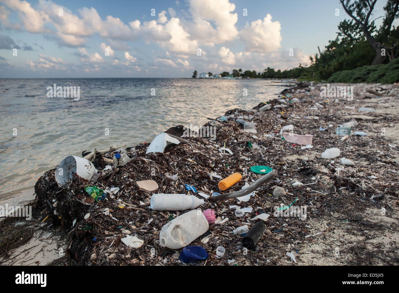 Les déchets plastiques s'est échoué sur une île isolée au large du Belize, dans la mer des Caraïbes. Banque D'Images