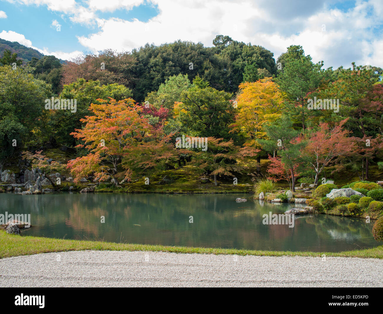 Jardin Tenryu-ji, Kyoto Banque D'Images