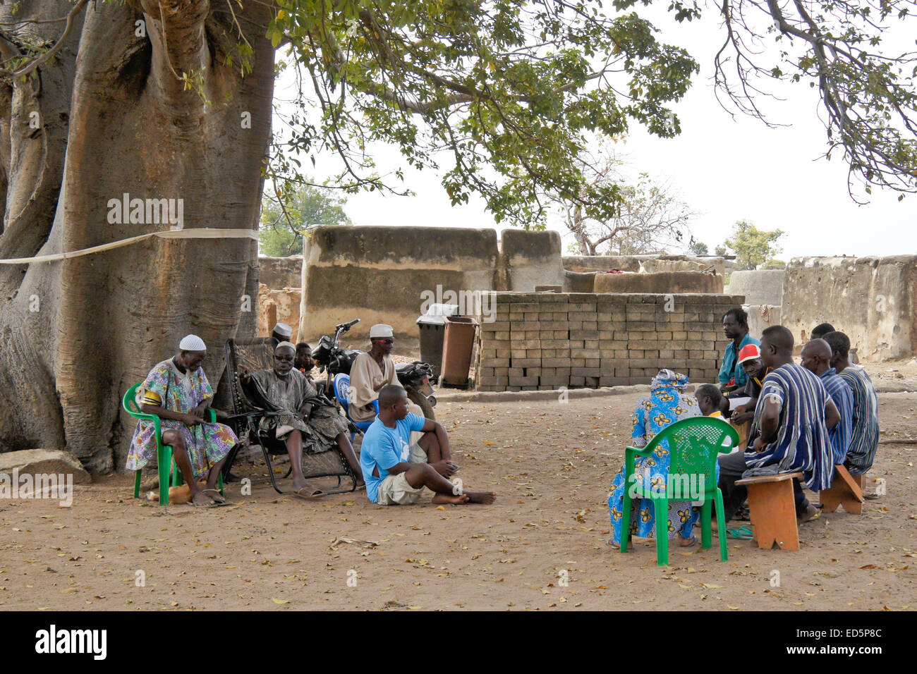 Talensi chef, les anciens, et les villageois d'organiser une réunion sous un grand arbre ficus, Tongo, Ghana Banque D'Images