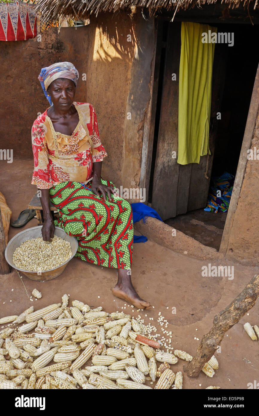 Des épis de maïs femme dépose devant sa cabane de torchis, Gambaga, Ghana Banque D'Images