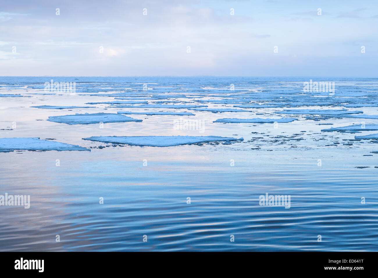 Paysage côtier d'hiver avec de gros fragments de glace flottant sur l'eau encore froide. Golfe de Finlande, Russie Banque D'Images
