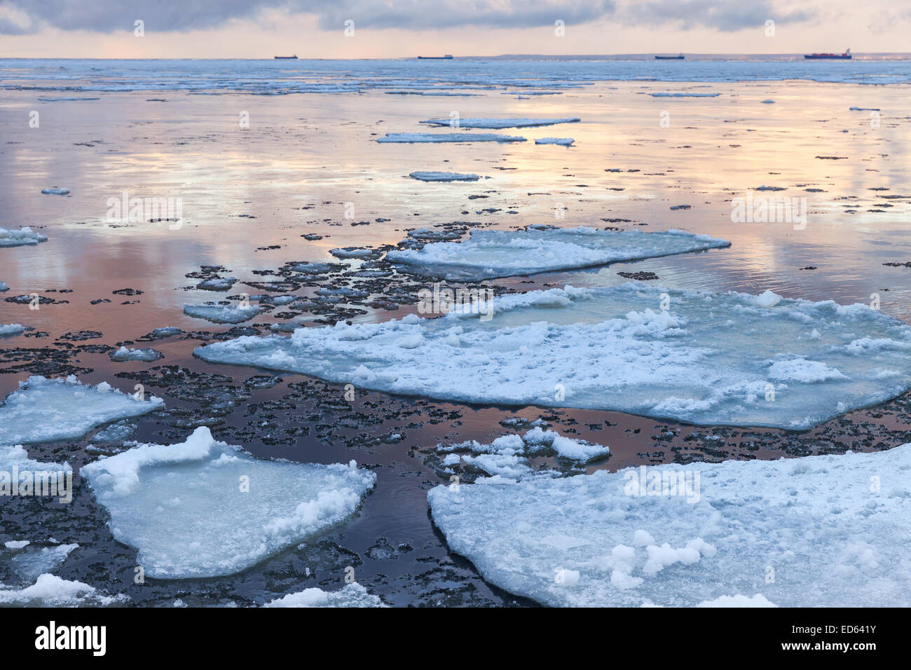 Paysage côtier d'hiver avec de gros fragments de glace flottante. Golfe de Finlande, Russie Banque D'Images