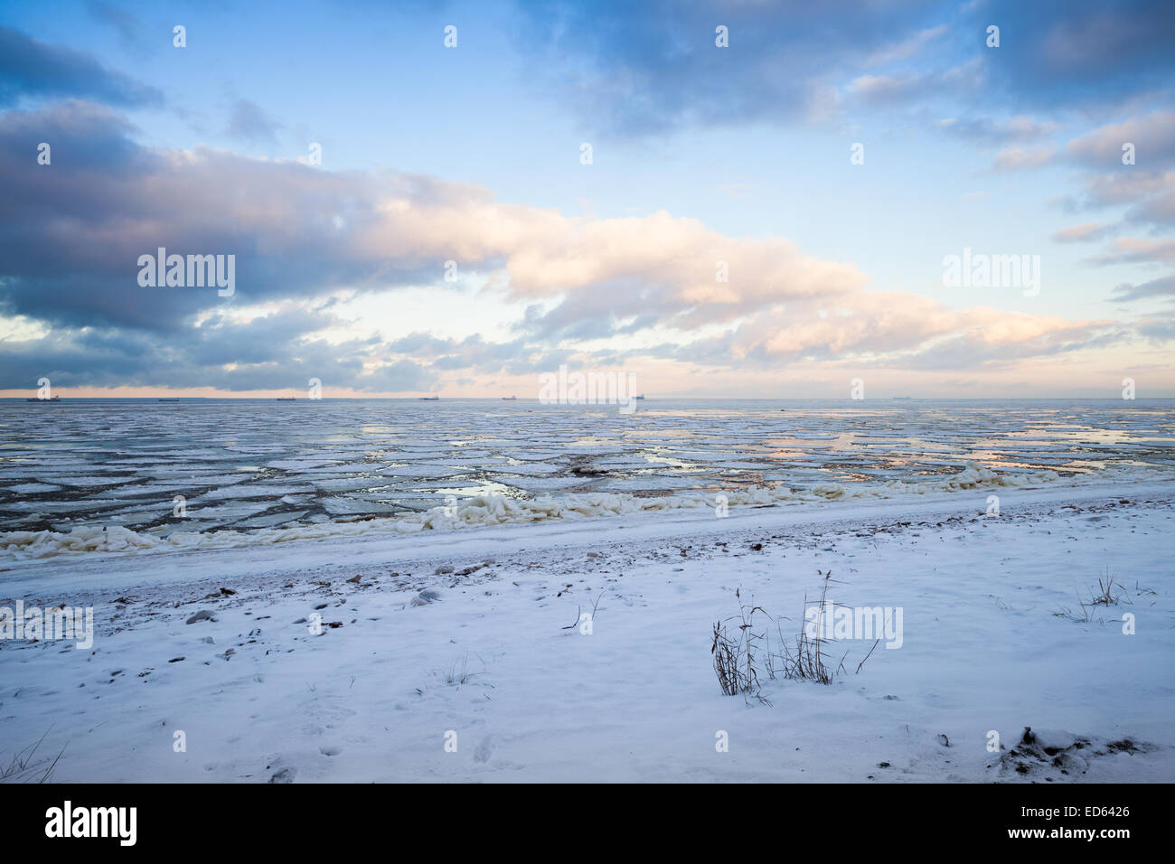 Paysage côtier d'hiver avec la glace flottante près de par la côte du golfe de Finlande Banque D'Images