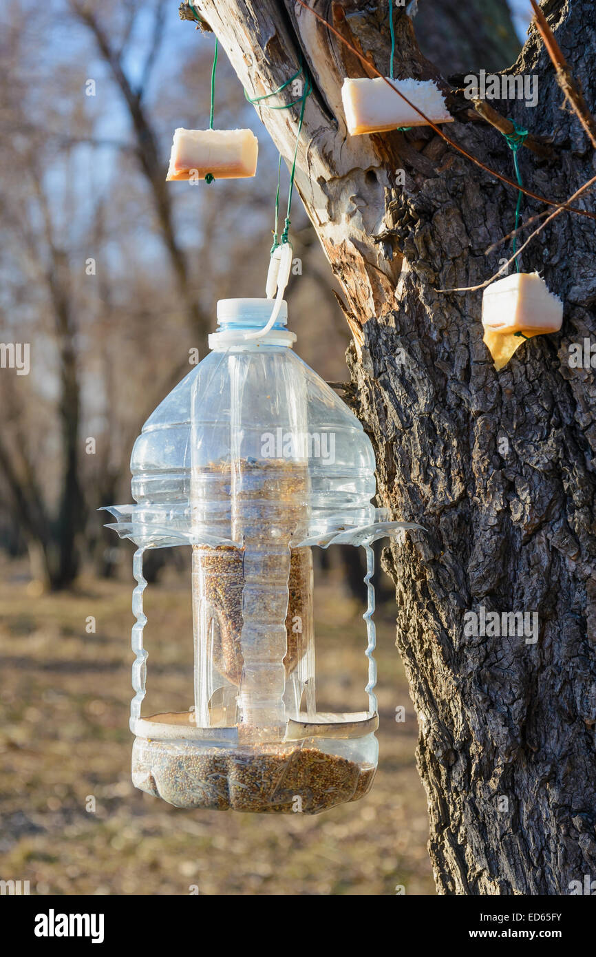 Grande bouteille en plastique utilisé comme chargeur pour les oiseaux en  hiver Photo Stock - Alamy