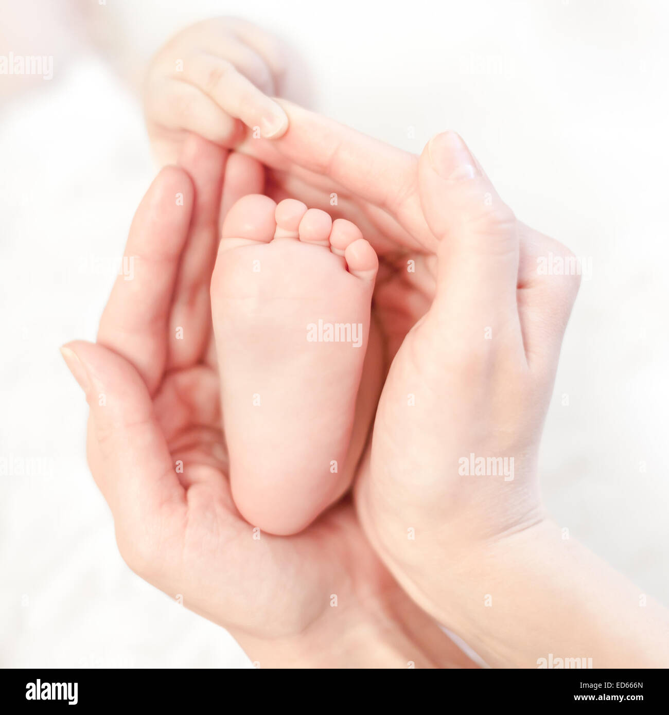 Baby foot dans les mains de la mère avec soin Banque D'Images