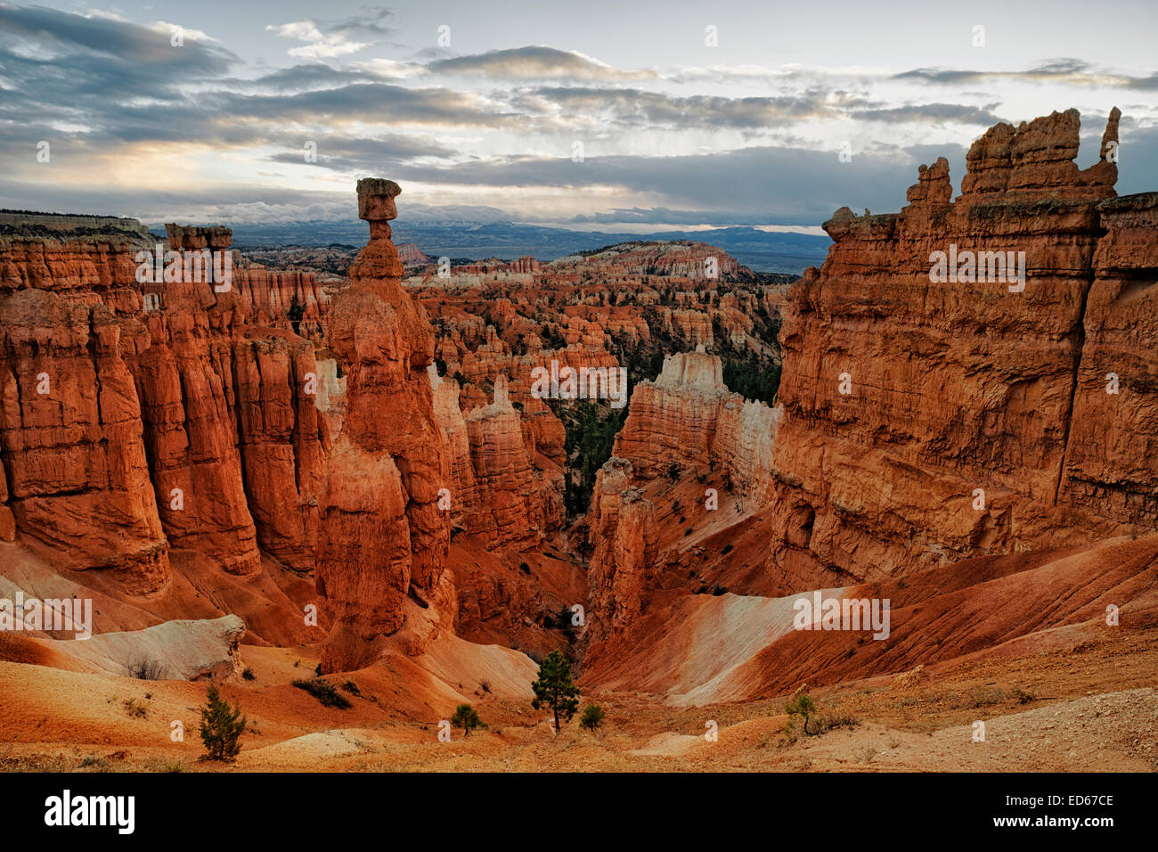 Première réflexion allume le marteau de Thor et l'hoodoos à Sunset Point et l'Utah Bryce Canyon National Park. Banque D'Images