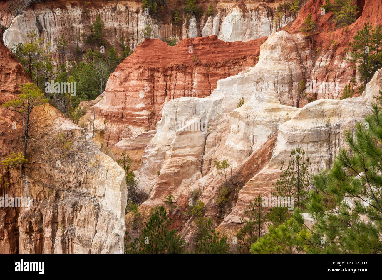 La beauté naturelle du Providence Canyon, également connu sous le nom de « petit Grand Canyon » de Géorgie, à Lumpkin, en Géorgie, dans le parc national de Providence Canyon. (ÉTATS-UNIS) Banque D'Images