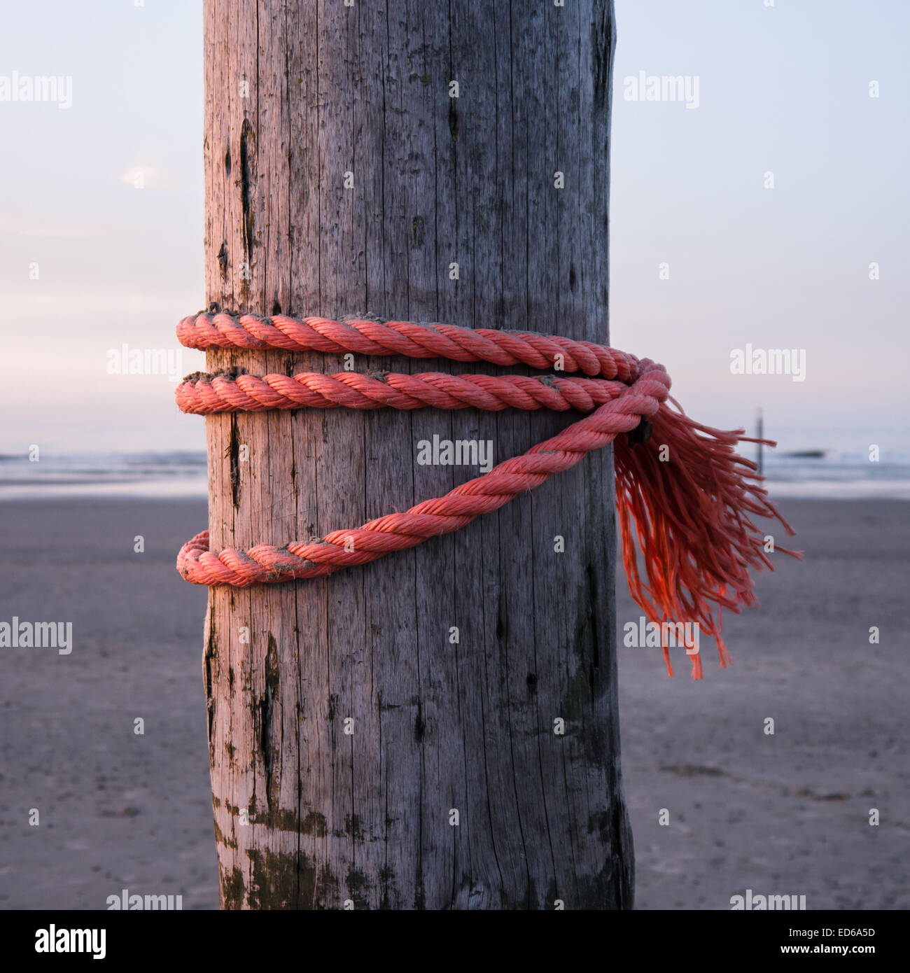 Corde rouge fort sur le pieu de bois Banque D'Images