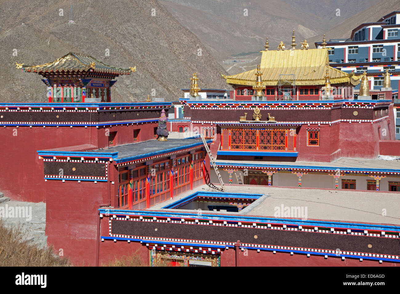 La reconstruction de Yushu à nouveau Thrangu Gompa tibétain du monastère Thrangu après le séisme de Yushu 2010, province de Qinghai, Chine Banque D'Images
