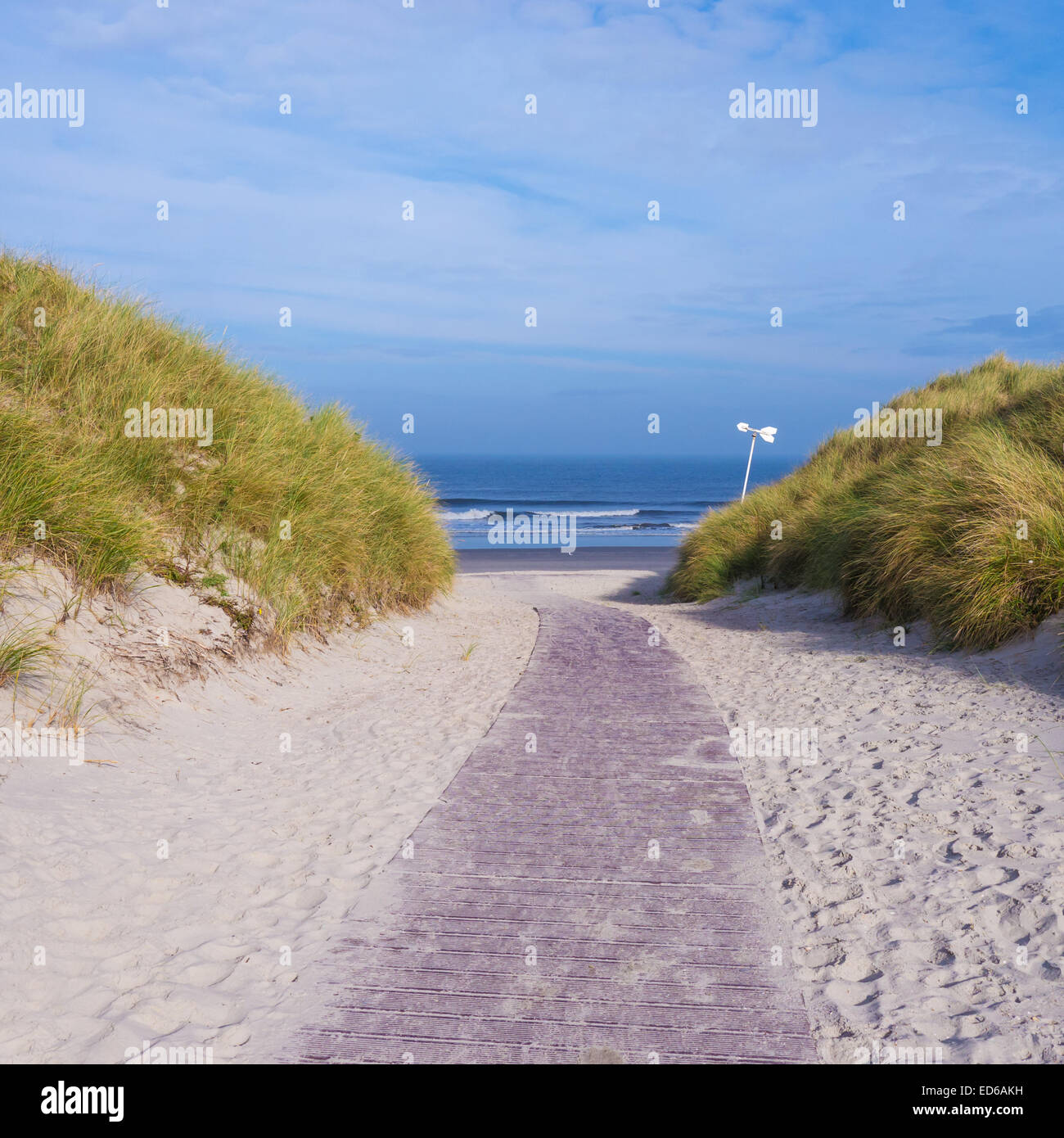 Chemin de la plage entre dunes Banque D'Images