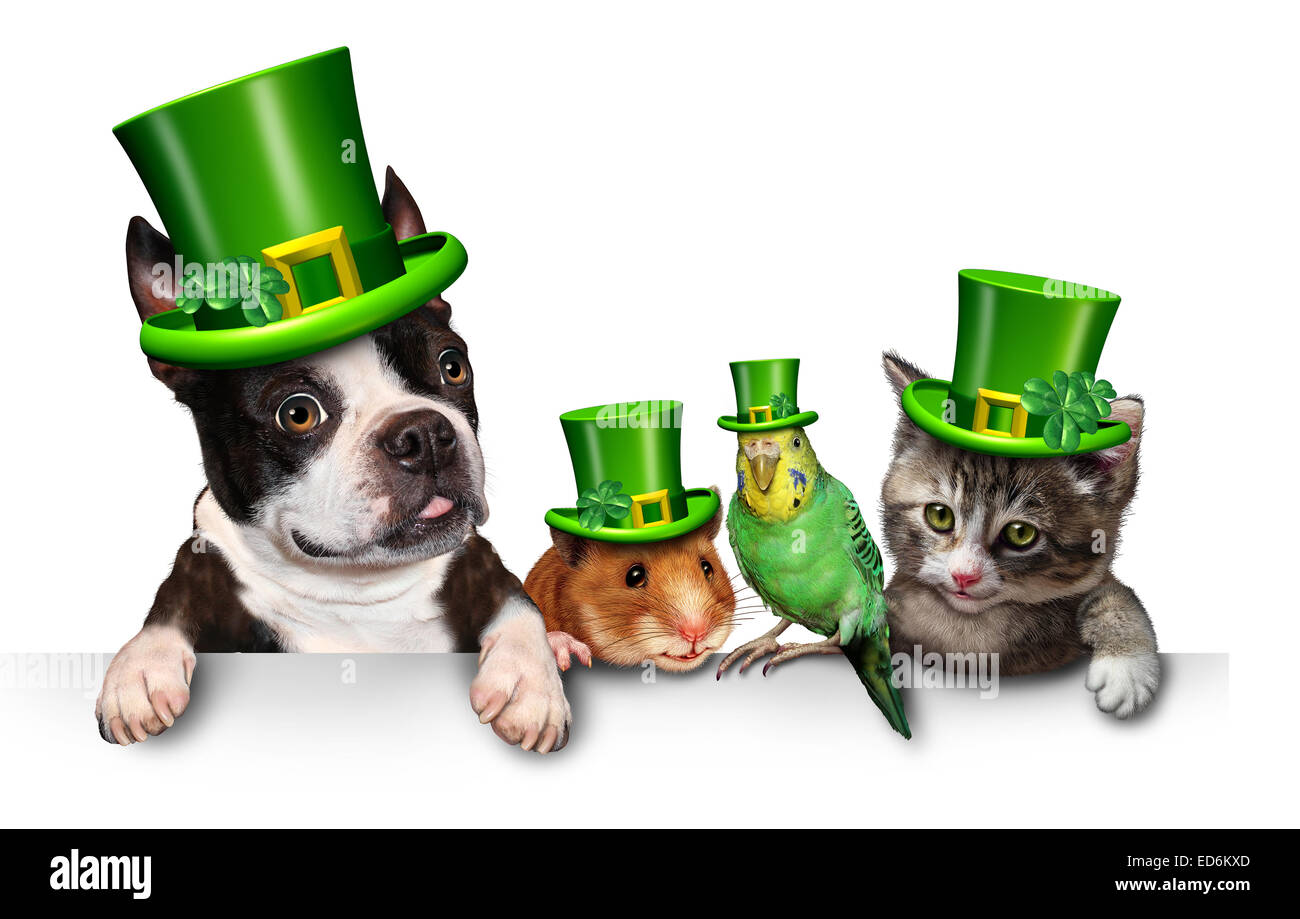 Animal vert signe avec un chat heureux chien cute hamster et budgie portant un chapeau avec le trèfle irlandais ressort accroché sur une étiquette blanche horizontale avec l'exemplaire de l'espace. Banque D'Images