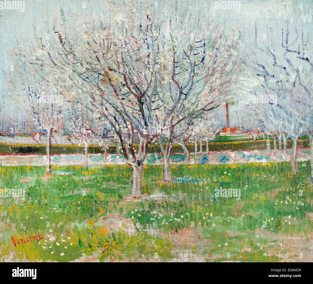 Vincent van Gogh, Verger en fleurs (pruniers). 1888. Le postimpressionnisme. Huile sur toile. Les Galeries nationales d'Ecosse. Plac Banque D'Images