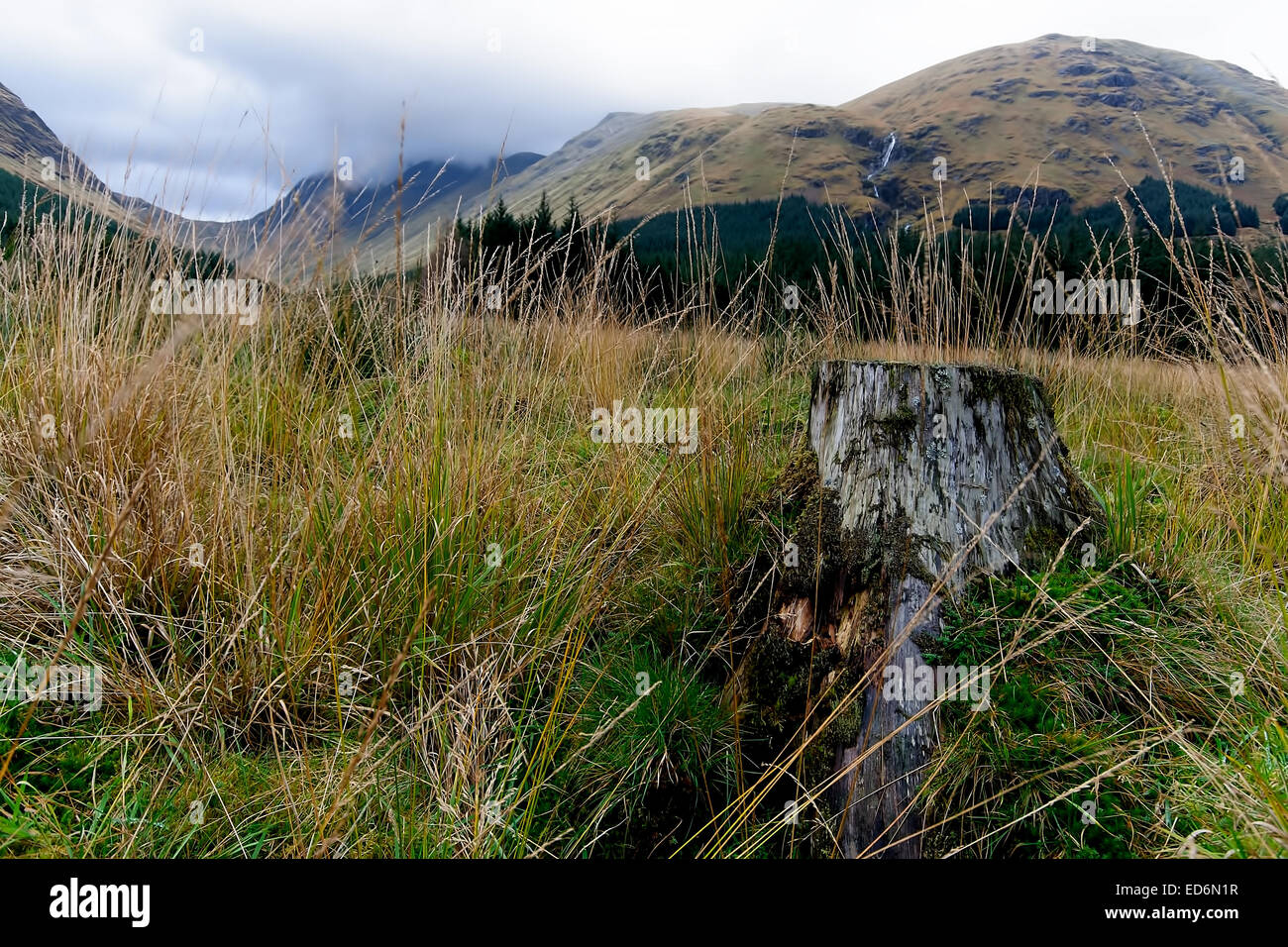 Glen Etive dans les Highlands d'Ecosse Banque D'Images