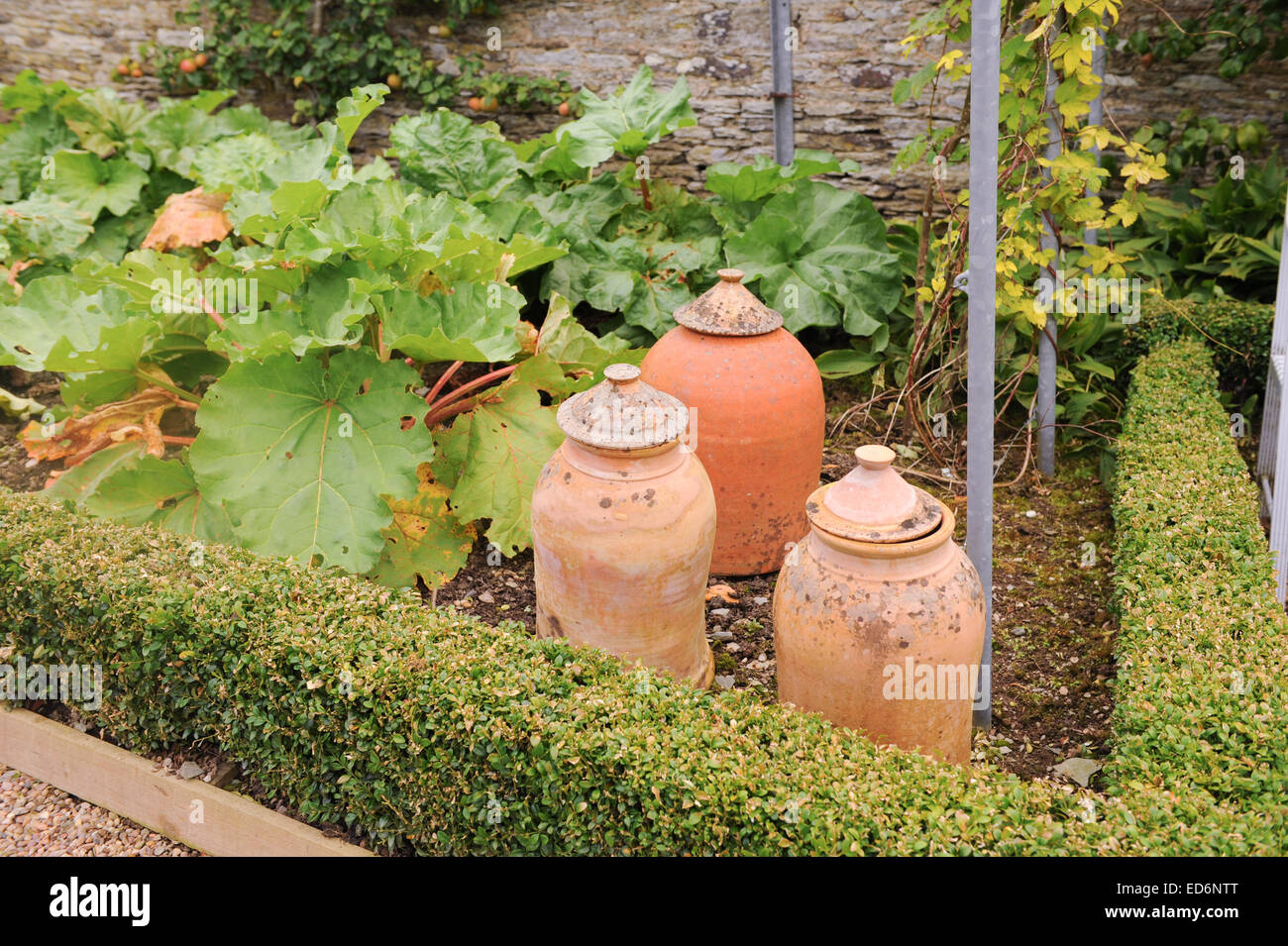Forcer la rhubarbe Pots dans la Cuisine Jardin à Arlington Court, Barnstaple, Devon, England, UK Banque D'Images