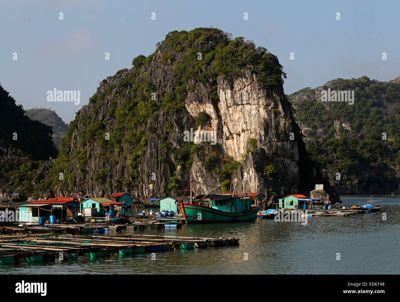 Cai Beo Village de pêcheurs flottant, Ile de Cat Ba, au Vietnam Banque D'Images