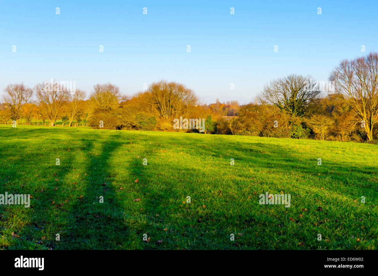 Cambridge, UK. 29 Décembre 2014 : Grantchester Meadows Banque D'Images