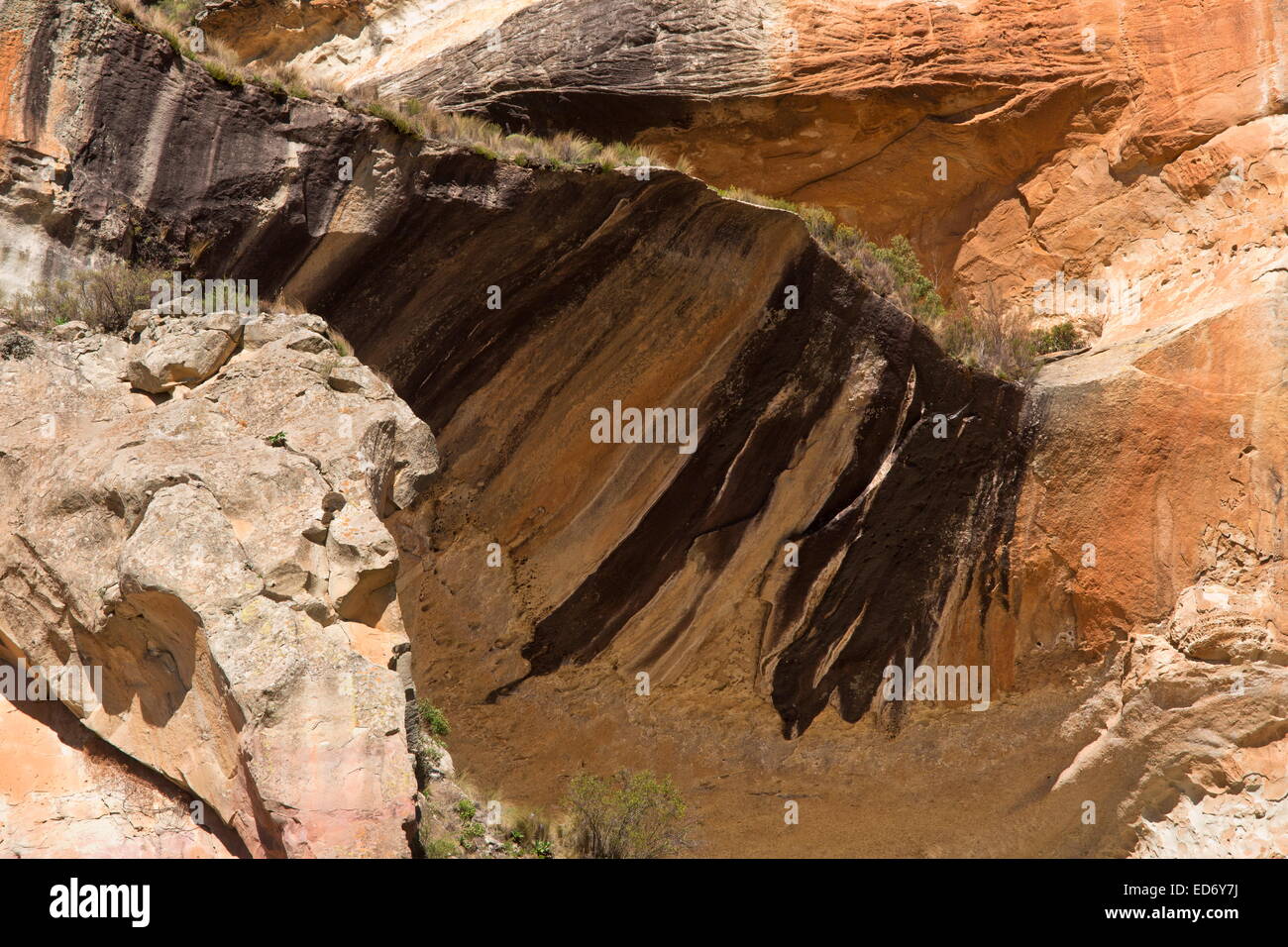 Rocher de grès à rayures, avec vernis ou vernis du désert rock, dans le Golden Gate Highlands National Park, montagnes du Drakensberg, Banque D'Images