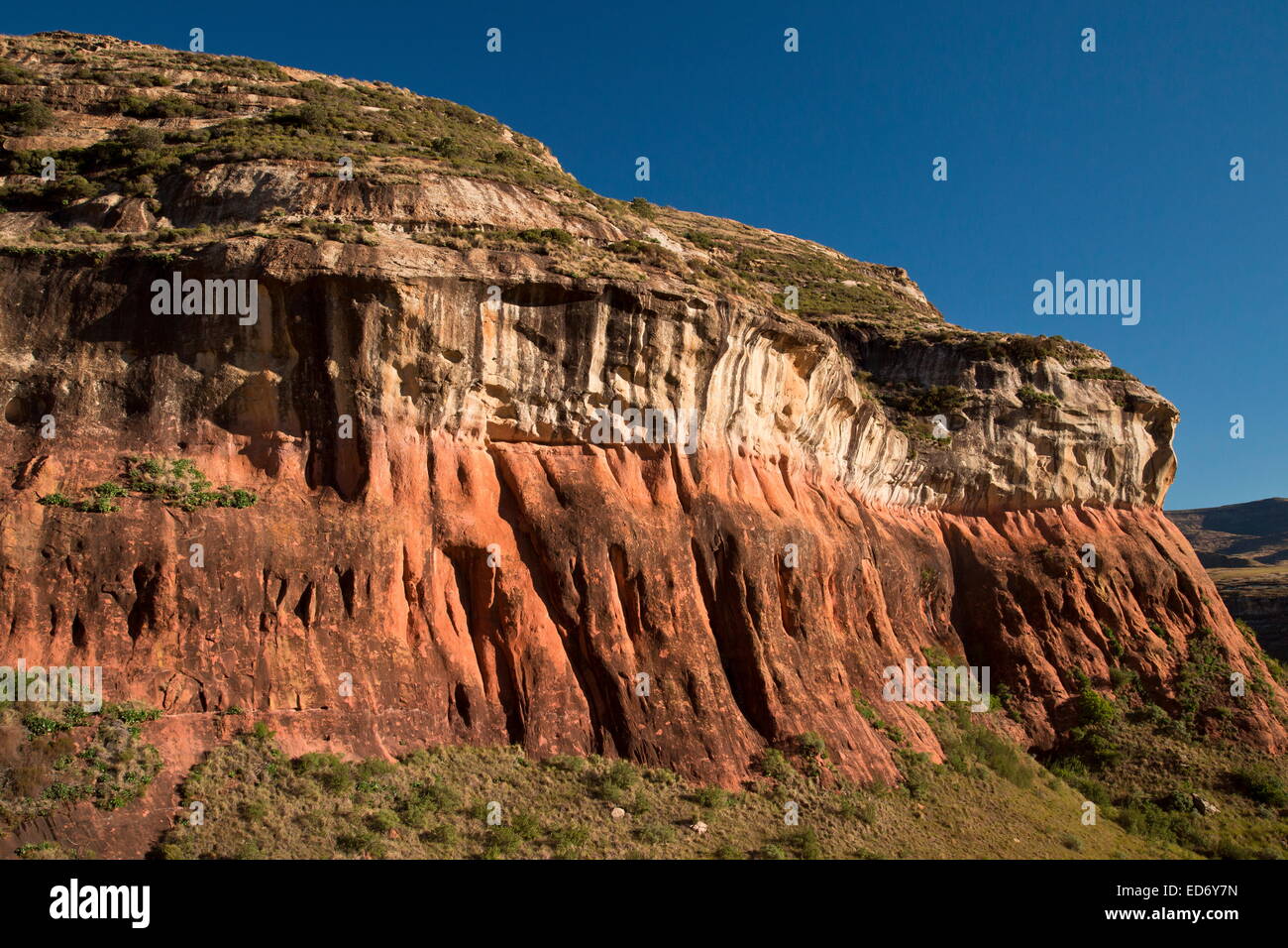 Falaises de grès Brandwag buttress rock formation dans le Golden Gate Highlands National Park, montagnes du Drakensberg, Sout Banque D'Images