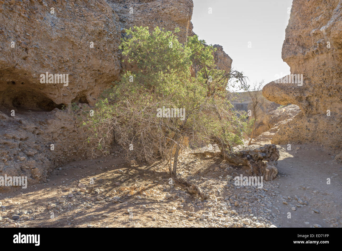 Sesriem Canyon, sculpté par la rivière Tsauchab, parc national Namib-Naukluft, Namibie Banque D'Images