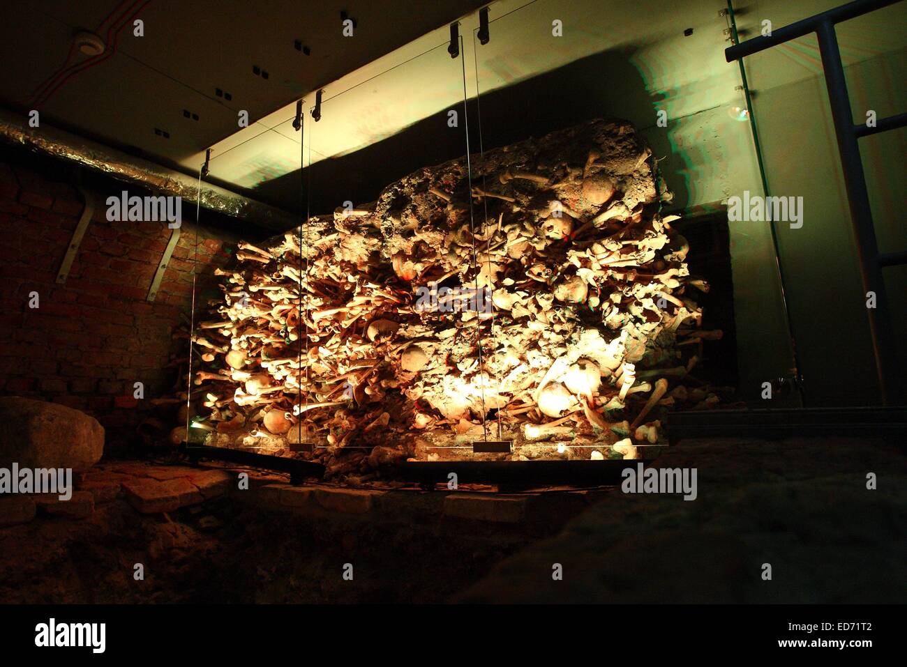 Gdansk, Pologne 30E, 31/12/2014 Les caves romanes du 13ème siècle sont maintenant ouverts au public à Gdansk. Les caves ont été découvertes lors de fouilles archéologiques en 2005. Il a été le premier monastère dominicain réfectoire à Gdansk. Les caves ont été enterrés pendant plus de 700 ans. Credit : Michal Fludra/Alamy Live News Banque D'Images