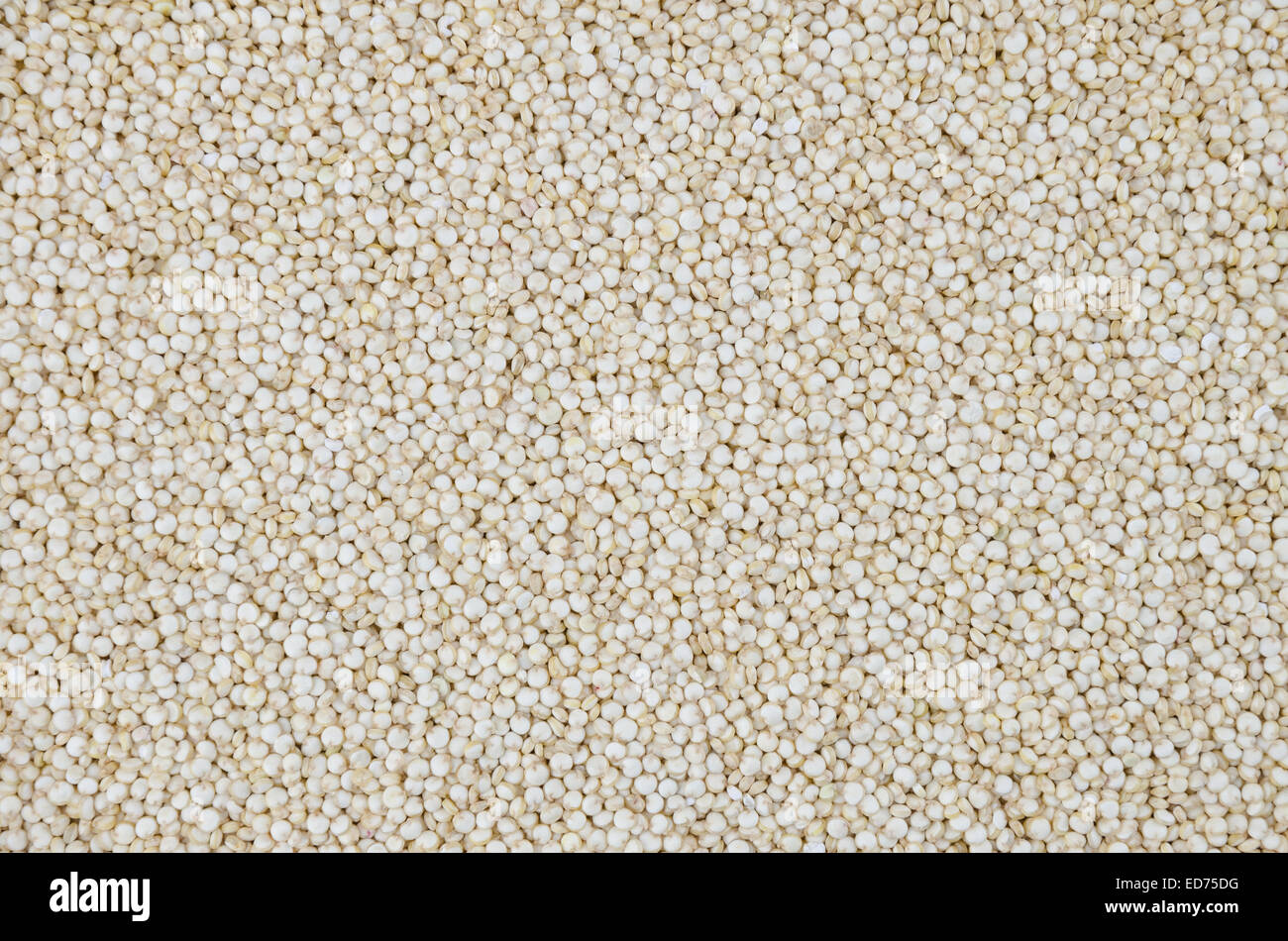 Arrière-plan de quinoa. Les graines de quinoa sur une surface droite, utilisable comme arrière-plan. Banque D'Images
