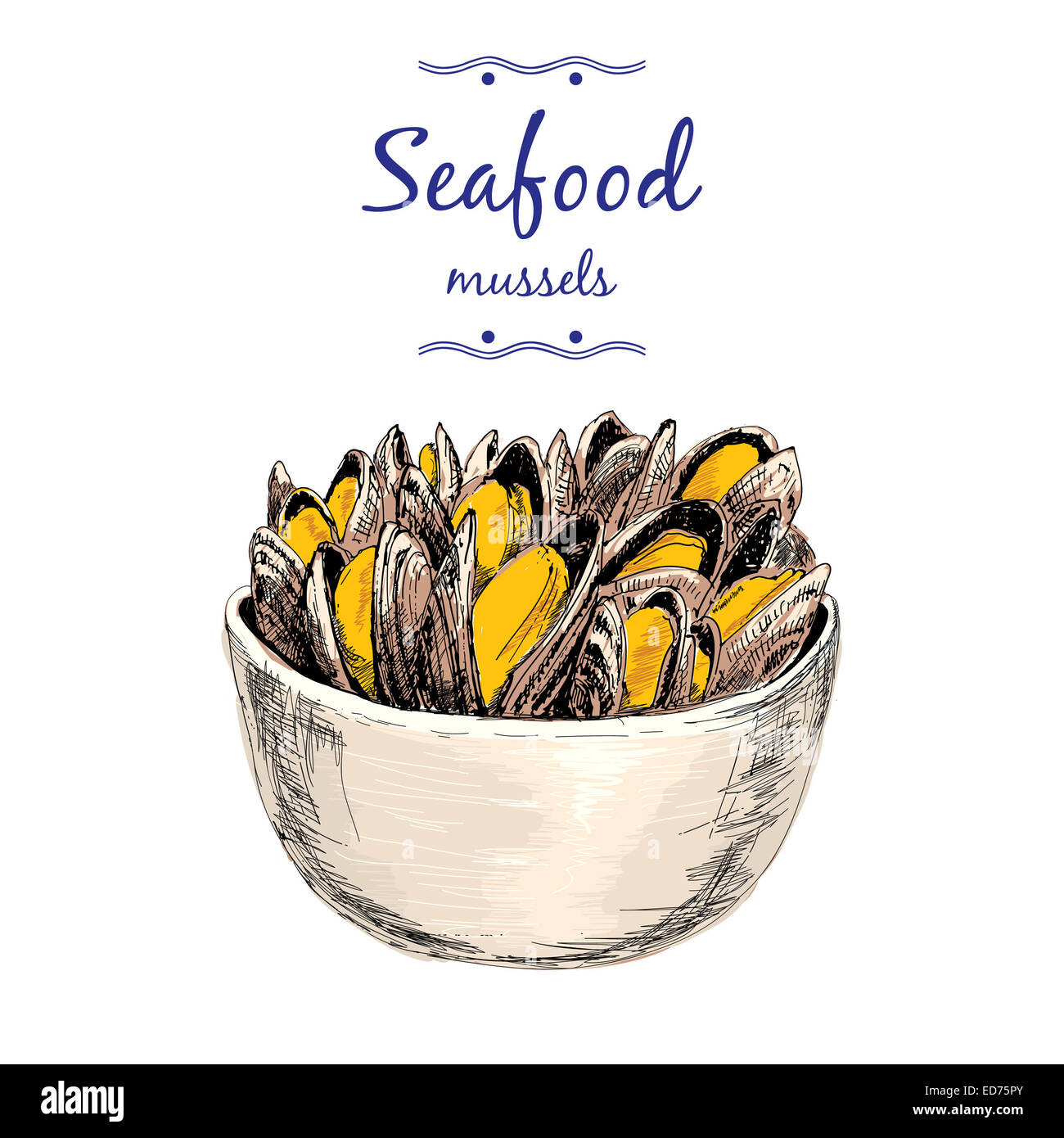 Les fruits de mer. Les moules. Série d'illustrations graphiques dessinés à la main. Banque D'Images