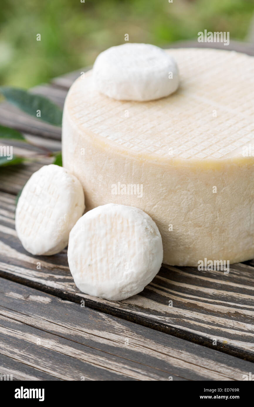 Assortiment de fromages de chèvre est posé sur une table à repasser en bois Banque D'Images