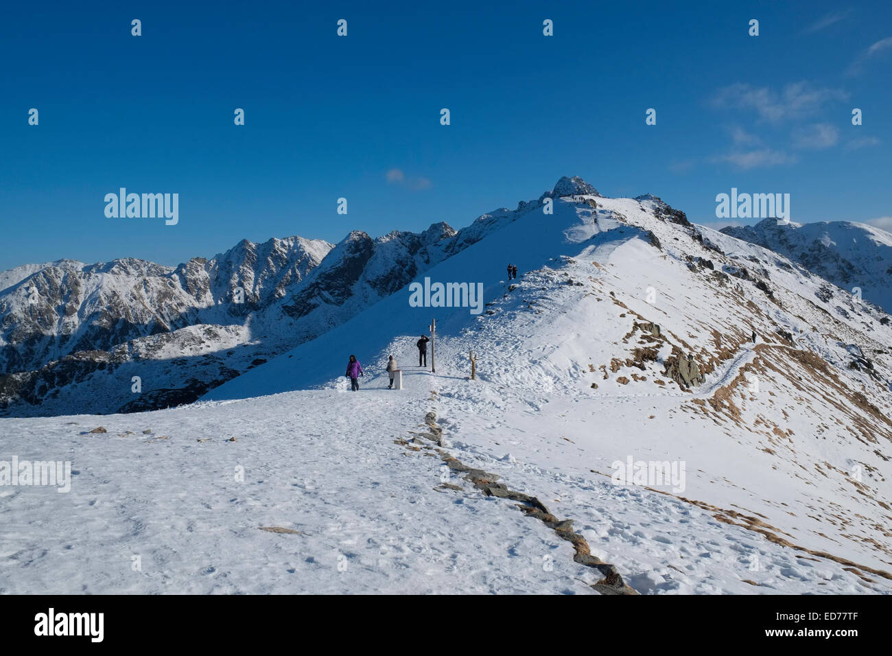 Le sommet de Kasprowy Wierch, Tatras, Pologne. Banque D'Images