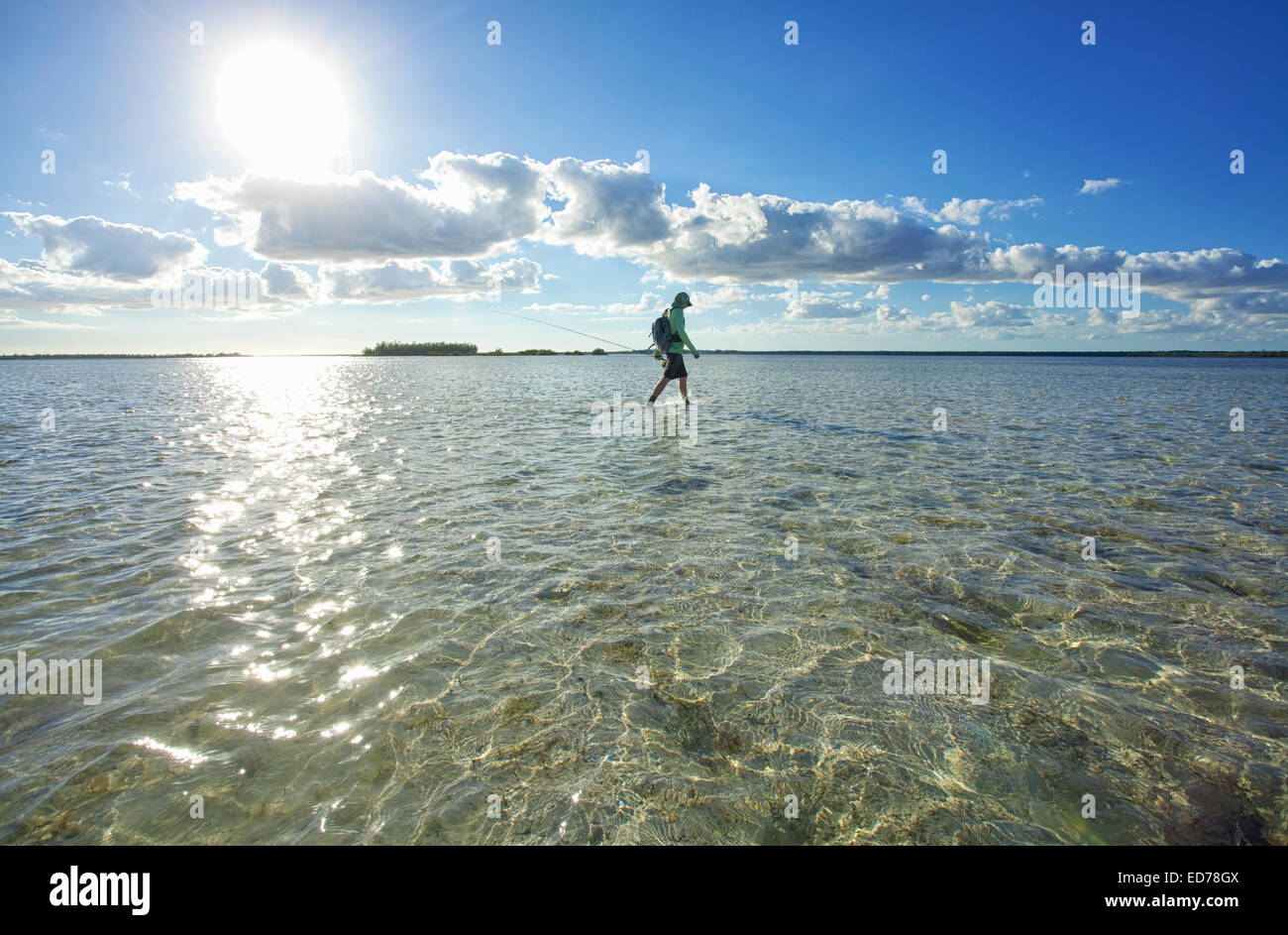 La pêche de mouche d'bonefish sur l'île d'Abaco aux Bahamas Banque D'Images
