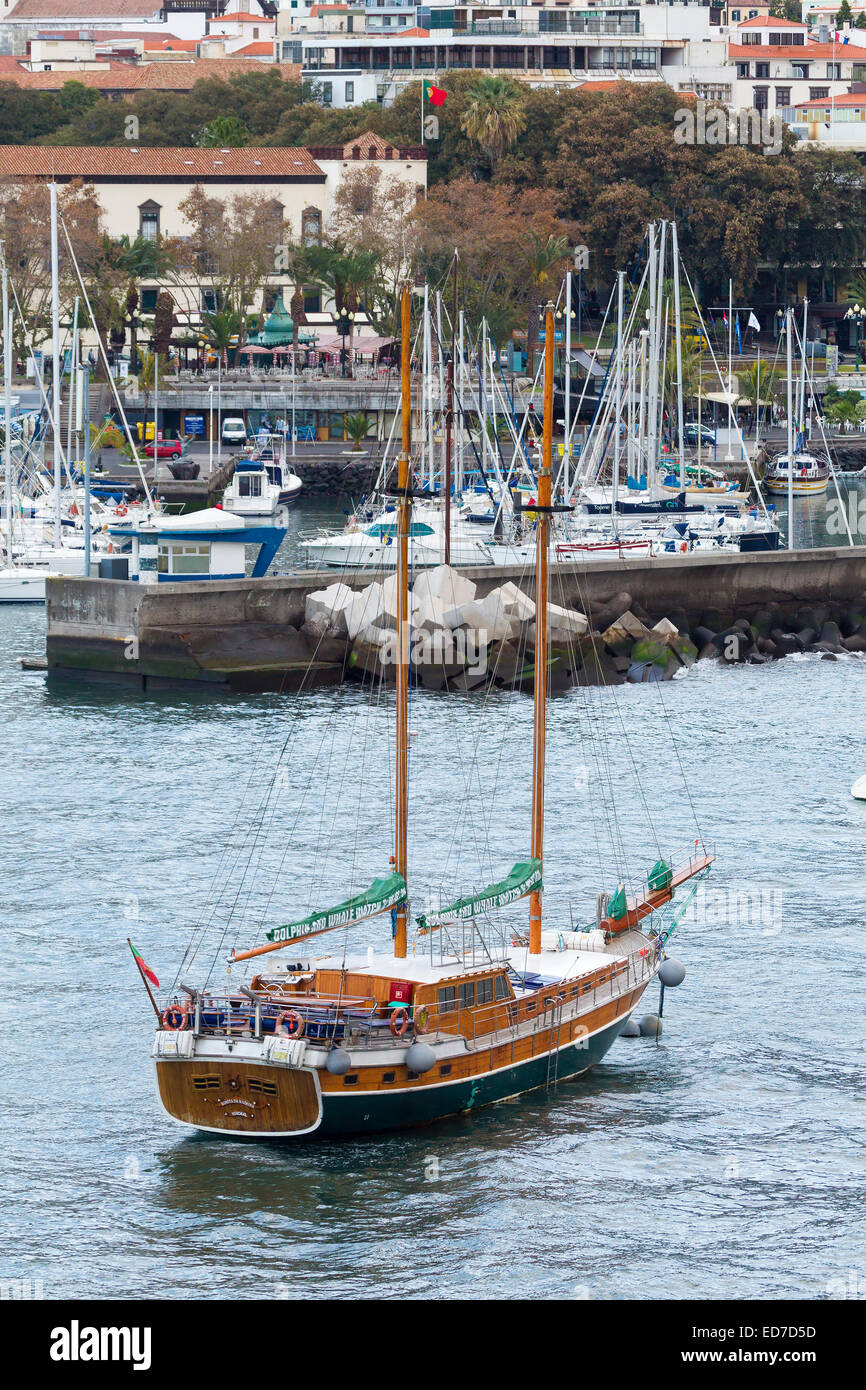 Bonita da Madeira ancrée dans la région de Madère. Banque D'Images