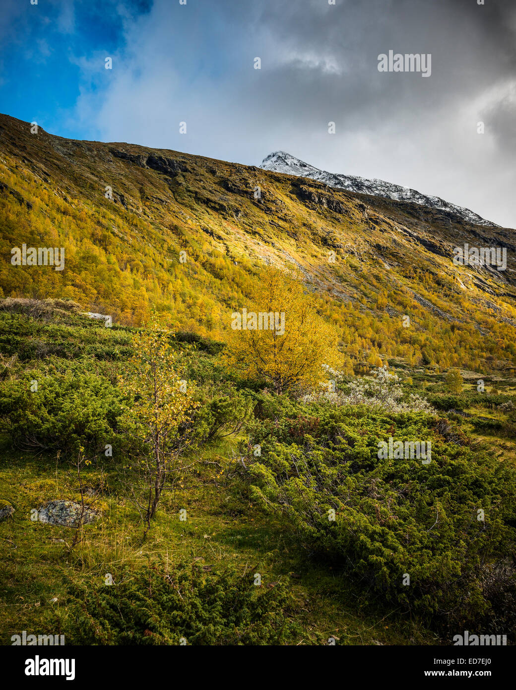 Les montagnes de Jotunheimen, Norvège - le sud-ouest haut (1936m) du Steindalsnosi (2025m) sur la piste en Helgedalen Banque D'Images
