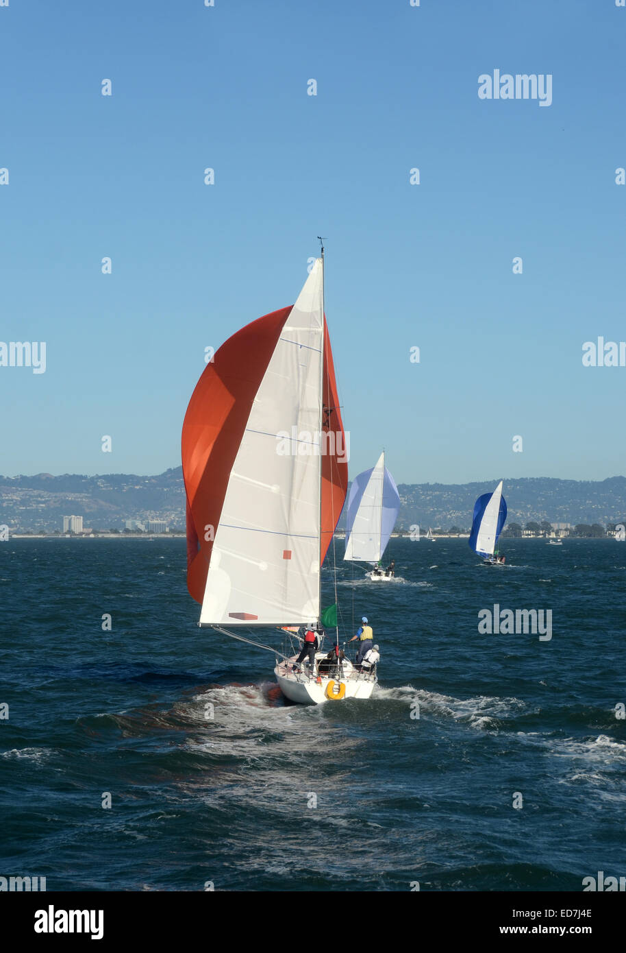 Voilier régate dans la baie de San Francisco, Californie Banque D'Images