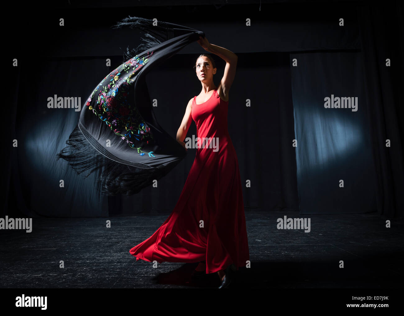 Danseuse de flamenco espagnol. Banque D'Images