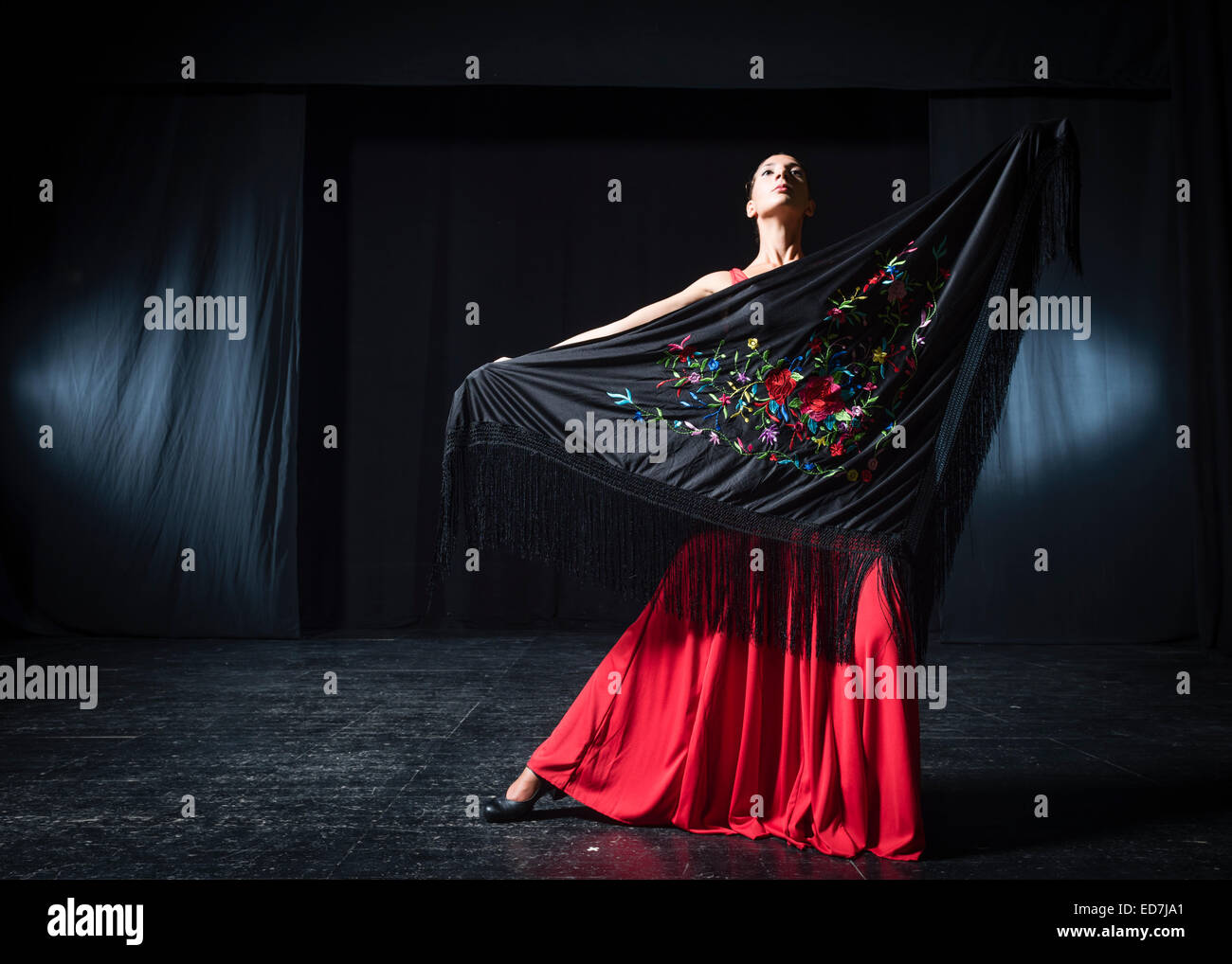 Danseuse typique de flamenco Banque de photographies et d’images à