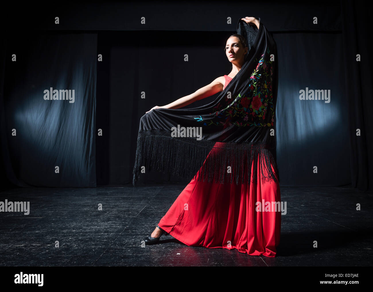 Danseuse de flamenco espagnol. Banque D'Images