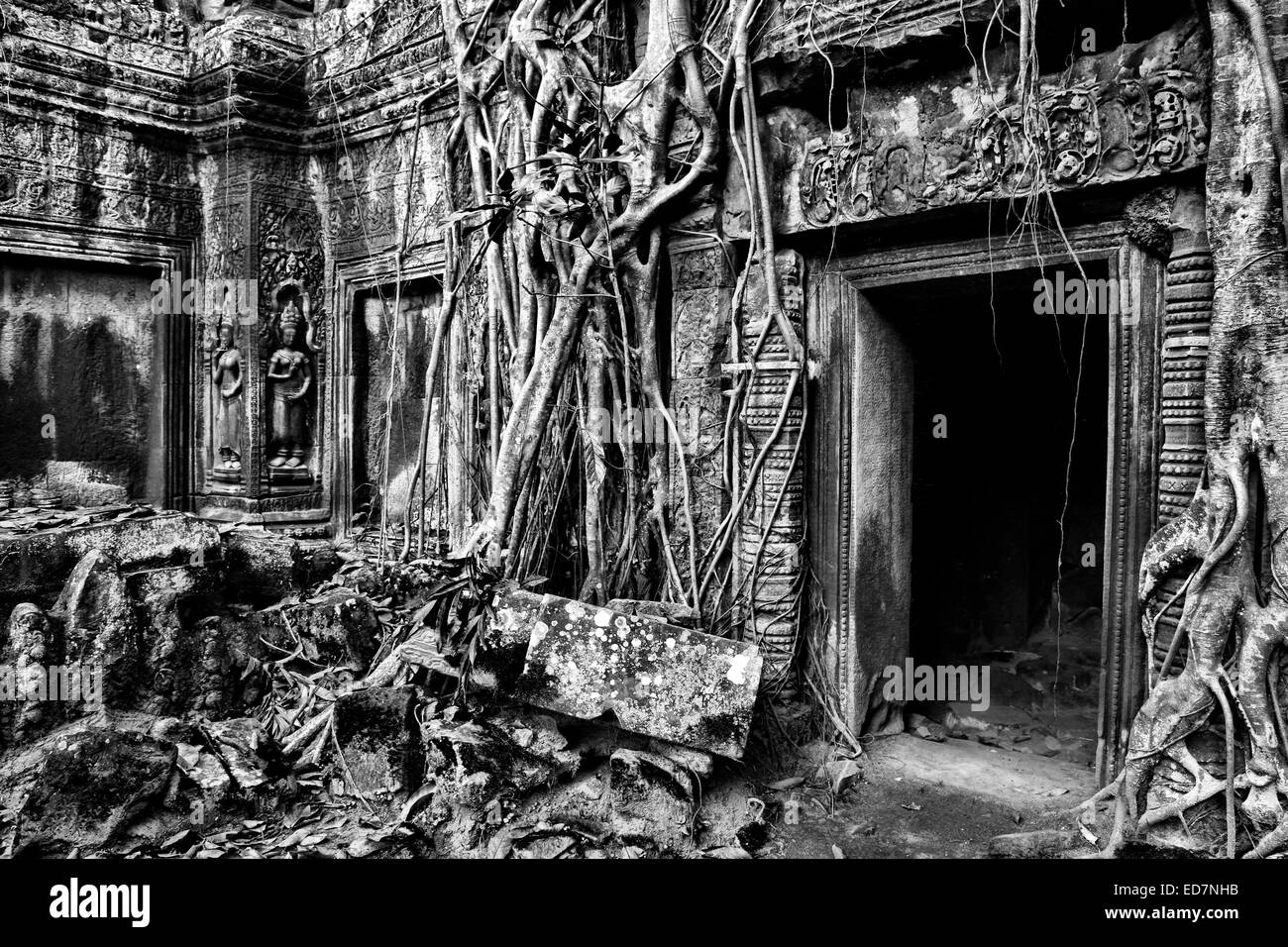 Porte au temple Ta Prohm envahi par les racines des arbres à l'Étrangleur Fig Angkor, Cambodge Banque D'Images