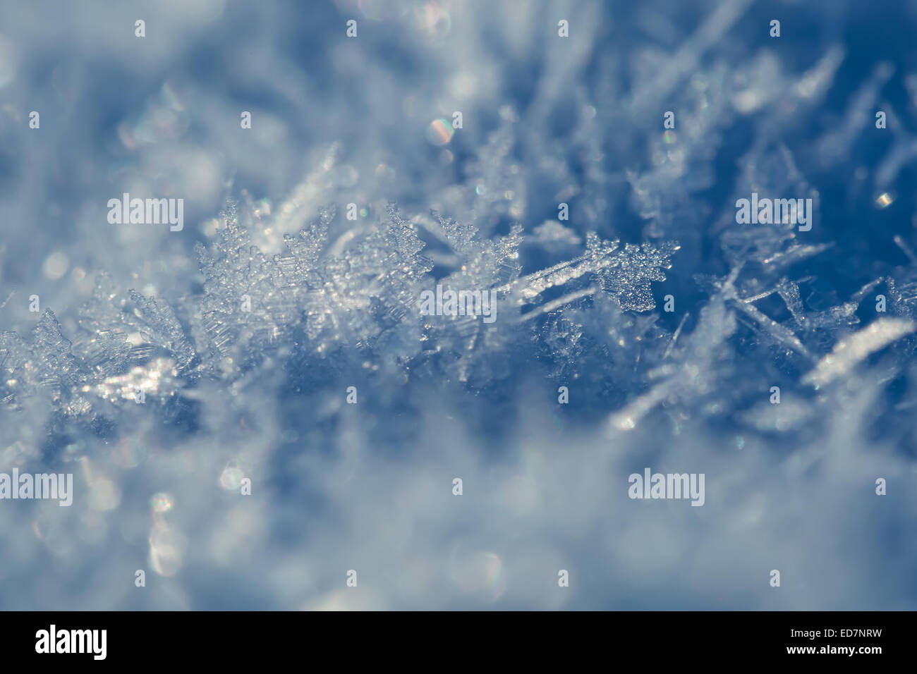 Close up de cristaux de neige Banque D'Images